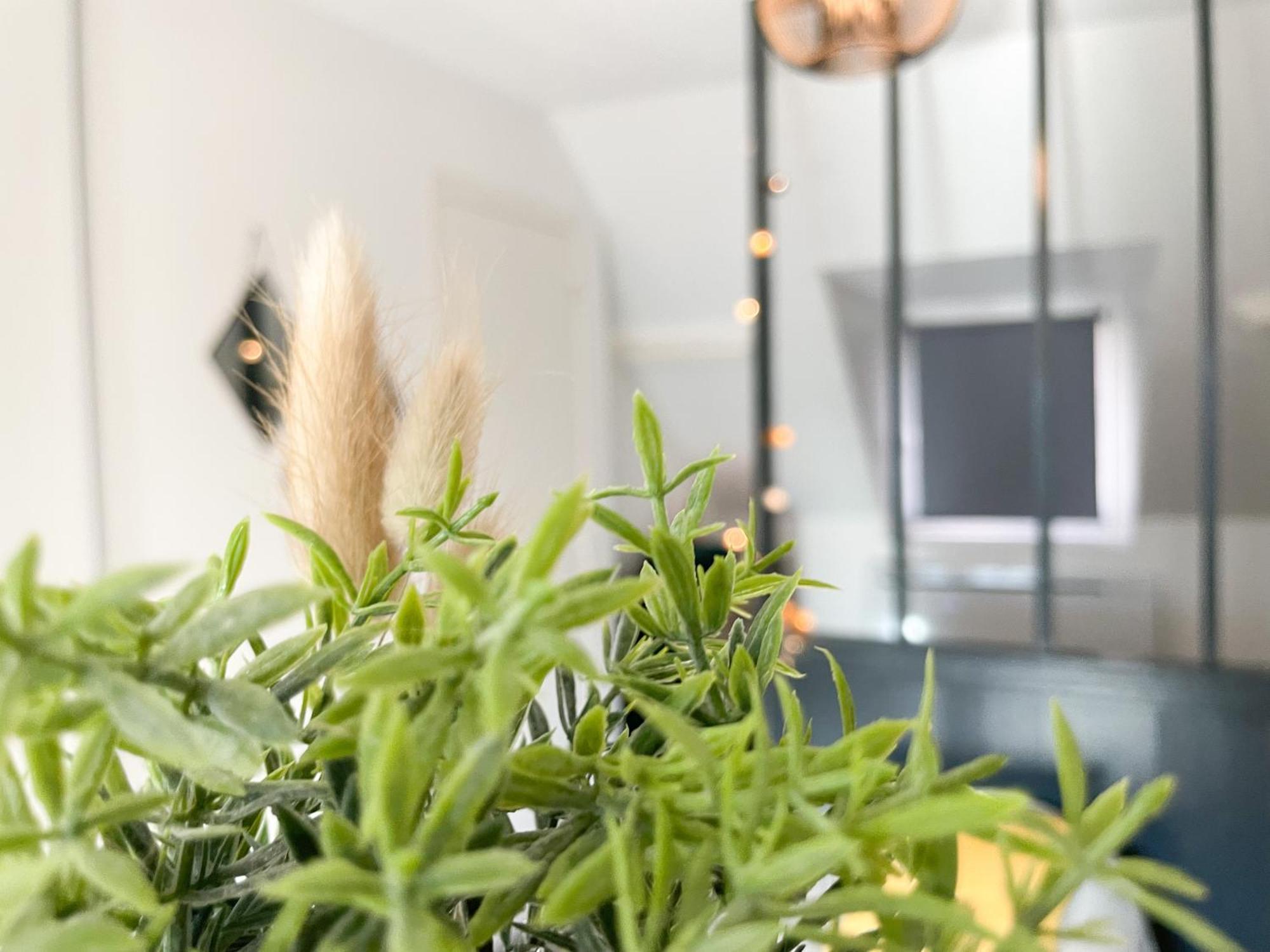 Le 12 Bis - Cosy Apartment Cherbourg-en-Cotentin